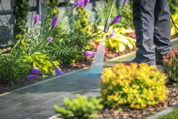 Best Sidewalk and Walkway Cleaning  in Ken Caryl, CO